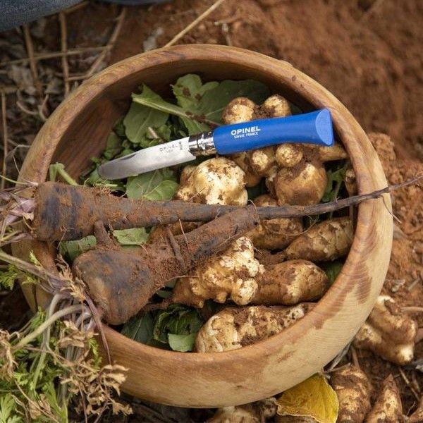קערת עץ מונחת על אדמה, ועליה עלים ושורשים עם שאריות אדמה. עליהם מונחת סכין אופינל ילדים בצבע כחול.
