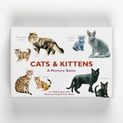 CATS & KITTENS - A MEMORY GAME עטיפת המשחק.