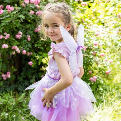 פרפר מרפרף סגול - 4-6