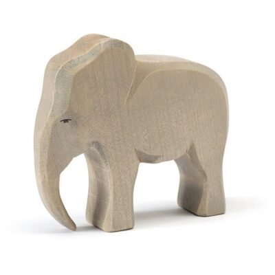 Elephant male Ostheimer